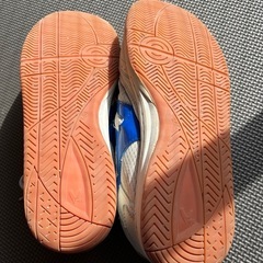アリーナシューズの画像