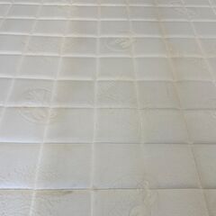 magniflex　フラッグFX（D）の画像