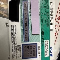 ANA株主優待1枚　2025年11月30日まで有効