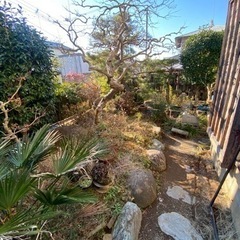 断捨離　持っていってください③