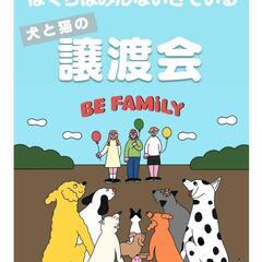 2月2日　犬と猫の譲渡会