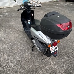 ホンダトゥデイ【セル1発】の画像