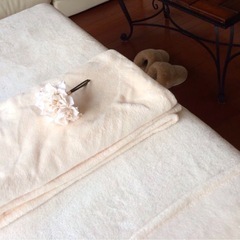 エステベッド 整体ベッド マッサージベッド美品
折りたたみベッド FONTANA リビエラスポーツの画像