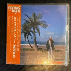 JAZZ/フュージョン/渡辺貞夫/LPレコード