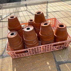 【全部まとめて】小さい植木鉢　〜多肉植物・挿し木・ハーブ・小さいお花などなど〜の画像