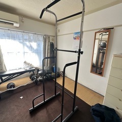 ALINCO EX900T
