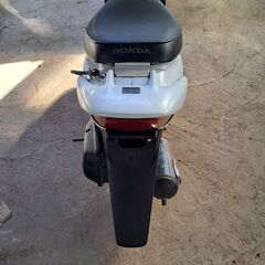 ホンダディオZXの画像