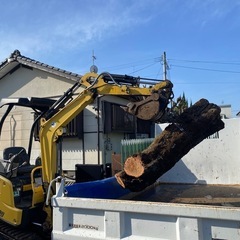新　樹木抜根の画像
