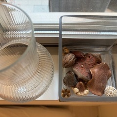 花瓶　の画像