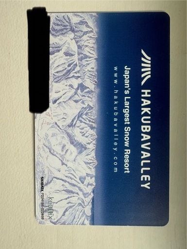 八方尾根スキー場2日分リフト券