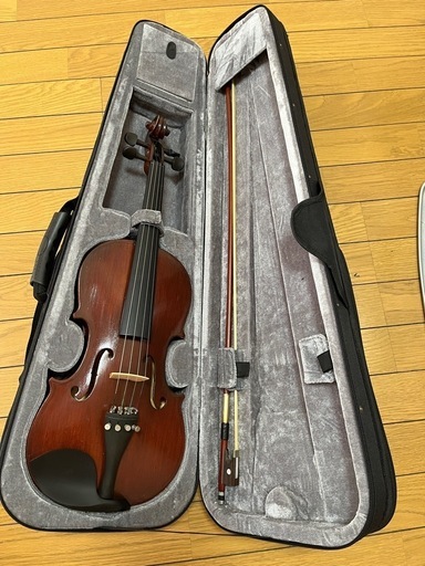 弦楽器、ギター Hallstatt V-12