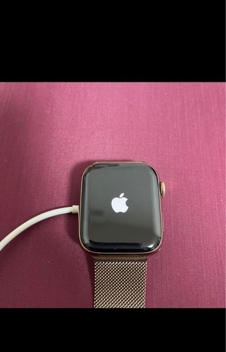 Apple Watch Series 5 44mm 【ステンレススチールケース/ミラネーゼループ】
