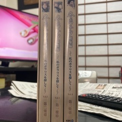 冬のソナタ　DVD