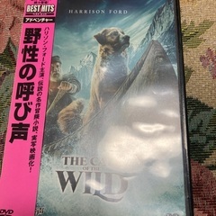 野生の呼び声の画像