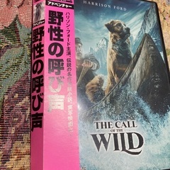 野生の呼び声の画像