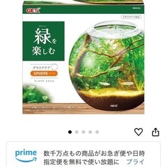 ボトルアクア水槽セット、ソイルなどもお付けします。の画像