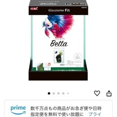 ボトルアクア水槽セット、ソイルなどもお付けします。の画像