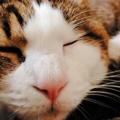 誰か