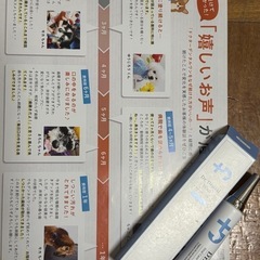ペット用品 ドクターデンタルワン 歯磨きジェル