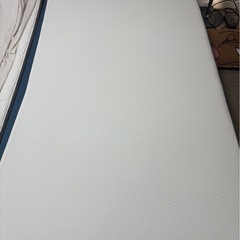 コアラマットレス セミダブルの画像
