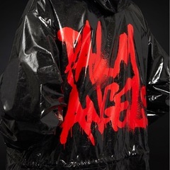 Moncler palm angels