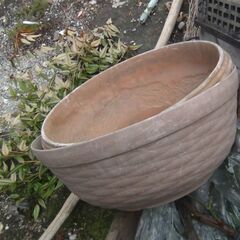 大き目なプラスチック製の植木鉢 欲しい個数で結構です 早く引き取りに来れる方 動作未確認 中古品 現状品 ジャンク品の画像