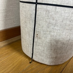 トルソーの画像