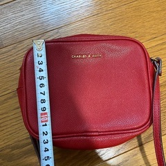 【美品】CHARLES & KEITHショルダーバッグの画像