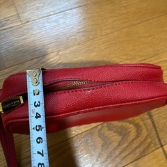 【美品】CHARLES & KEITHショルダーバッグの画像