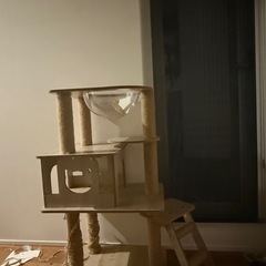 猫タワー
