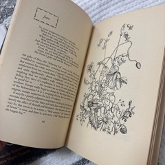 洋書3点セットの画像