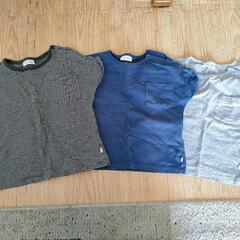 #next #オーガニックコットン #Tシャツ #3枚セット #...