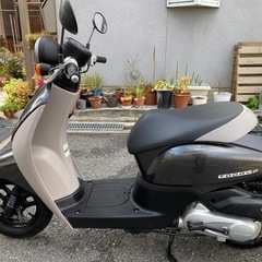 ホンダ　トゥデイF　AF67  FI  最終モデル AF70Eエンジン 　美車　整備済み　不具合無し　調子良いよ！　引き取り限定　動画ありの画像