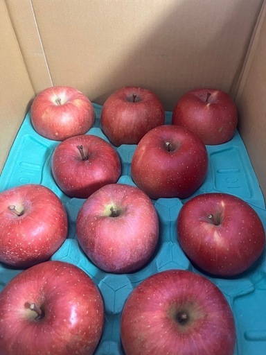 高山村産 フジ 希少 わら敷サンふじりんご 長野県産贈答用10kg