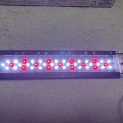 LEDライト300の画像