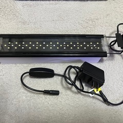 LEDライト300の画像