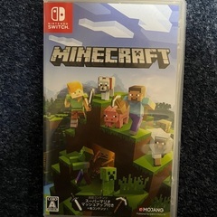 Switch マインクラフト