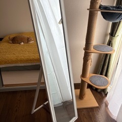 ニトリ スタンドミラー