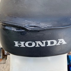 HONDA白エイプ50ccの画像