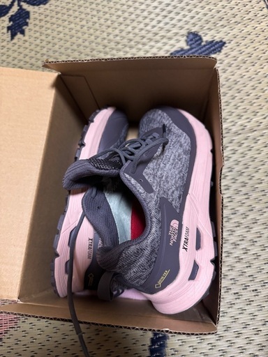 ザ・ノースフェイス ゴアテックス　防水　スニーカー