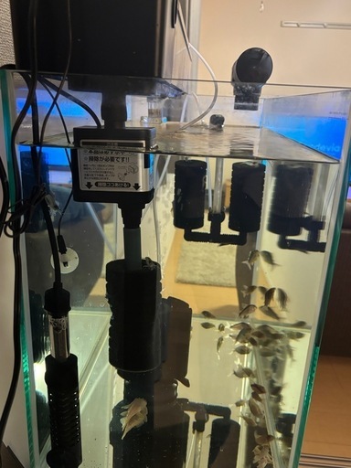 【2/15までに取りに来て頂ける方のみ2万円でお譲りさせていただきます】熱帯魚　水槽セット