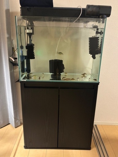 【2/15までに取りに来て頂ける方のみ2万円でお譲りさせていただきます】熱帯魚　水槽セット