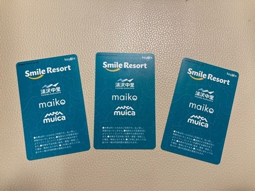 舞子スノーリゾートの2024-2025シーズン用1日パス大人券、3枚セット