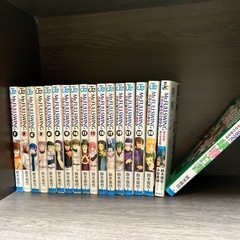 ミスターフルスイング