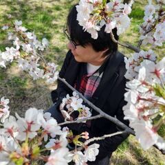 アルフ好きな人と繋がりたいです！