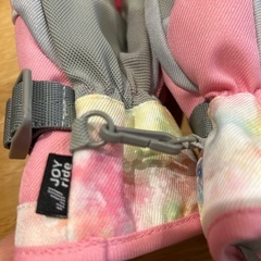 お譲り先決まりましたの画像
