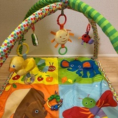 ベビープレイジムの画像