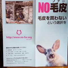 動物愛護チラシ