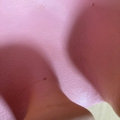 バンボ　ピンク色の画像