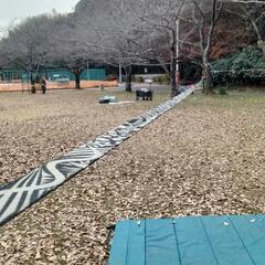 千葉県八千代市 スラックライン予定 2025/1/12、13